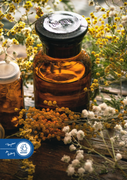 Chorzów Wydarzenie Inne wydarzenie 7.02 Twórcze Siedlisko - Warsztaty zielarskie – Róża zimą - wspomnienie lata w mroźnym, chłodnym zim